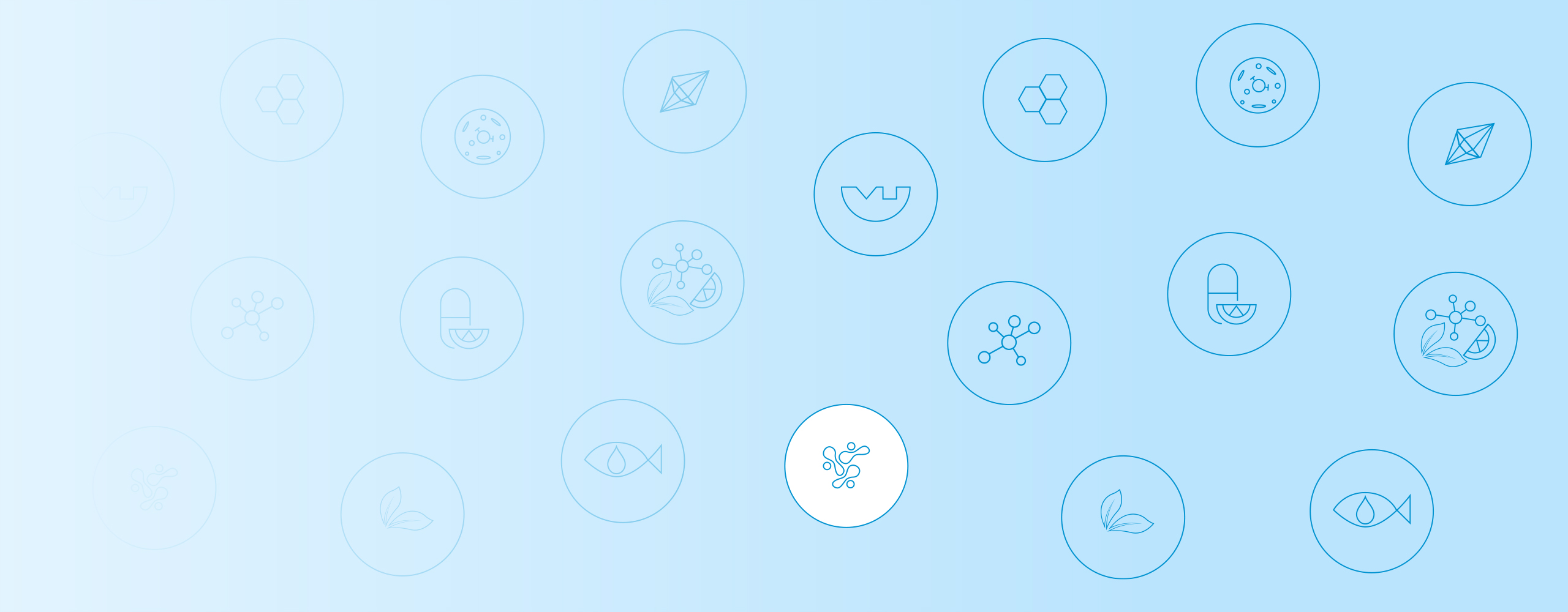 Mlečnokislinske bakterije