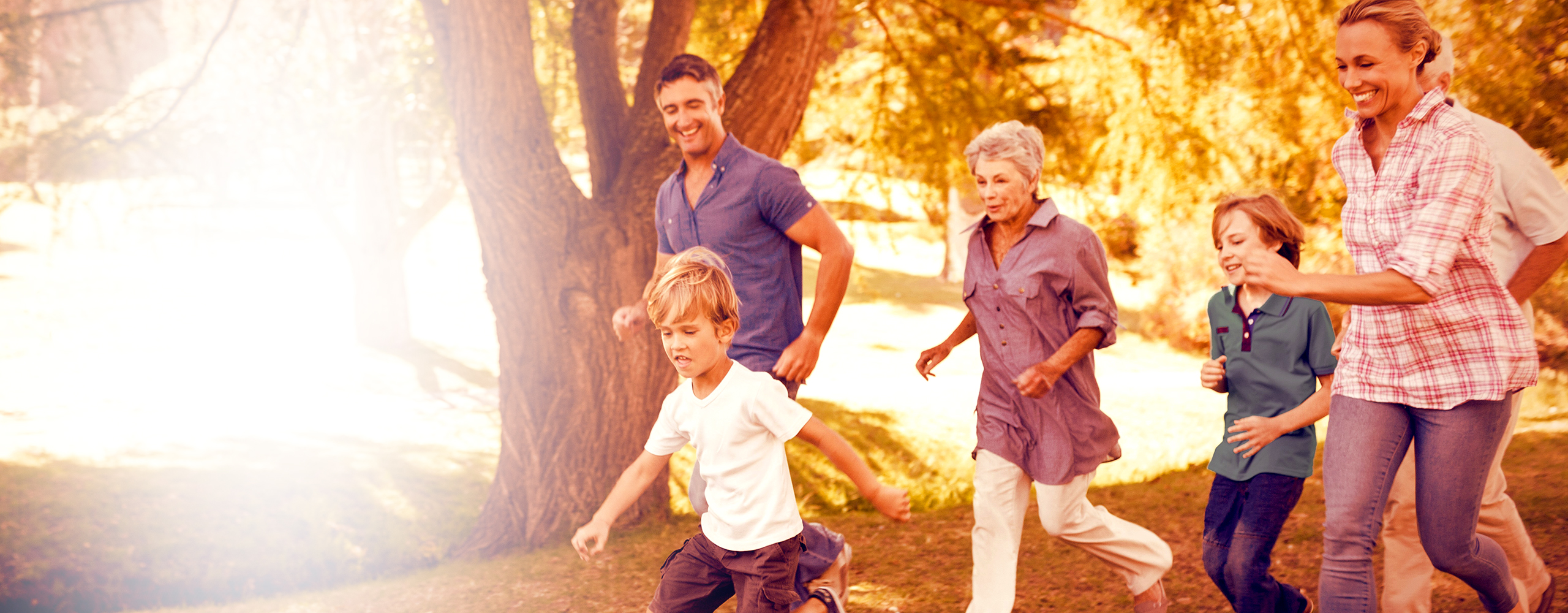 Prehranska Dopolnila